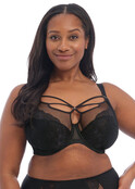 Brianna - Plunge BH Brianna - Plunge BH