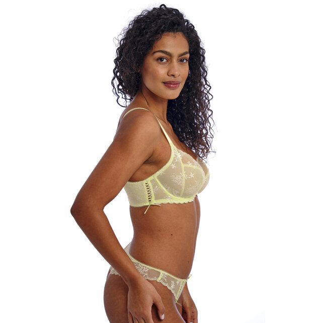 Offbeat Decadence - Brazilian string