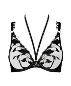 Night At Paradise - Plunge BH