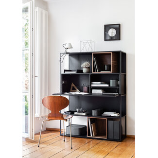 Homeoffice Regal+Schreibtisch klappbar