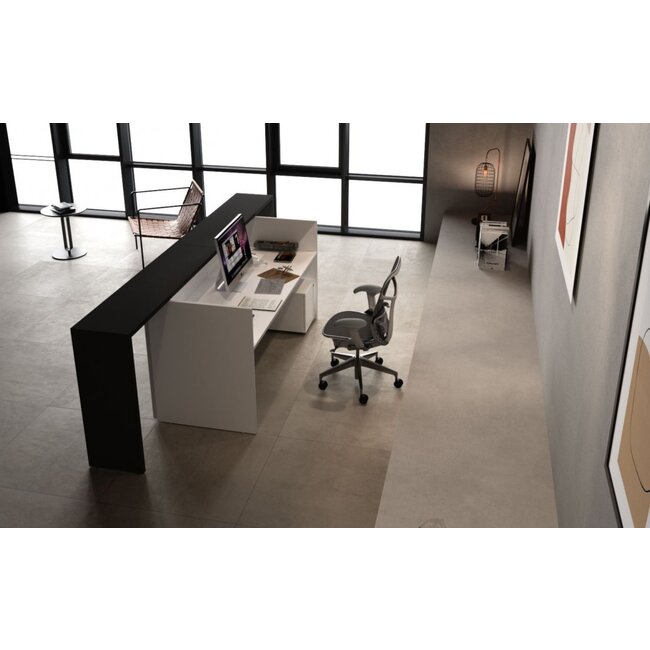 Moderne Empfangstheke Axel