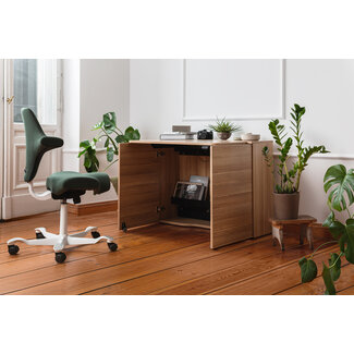 Serie MA  Höhenverstellbarer Home Office Schreibtisch - 120 cm breit