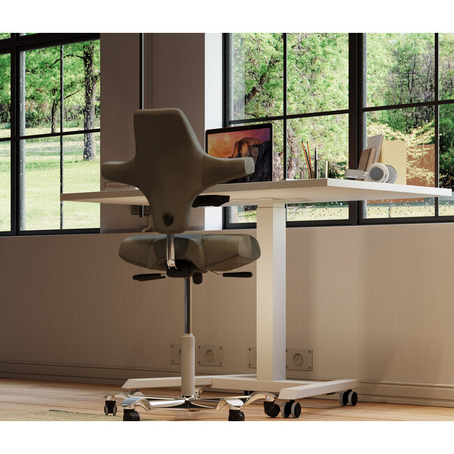 Elektrisch Höhenverstellbarer Multifunktionaler Home Office Schreibtisch VARIANT