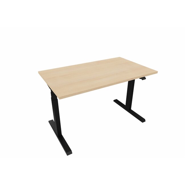 Elektrisch Höhenverstellbarer Schreibtisch , 120 cm breit - 70 cm tief