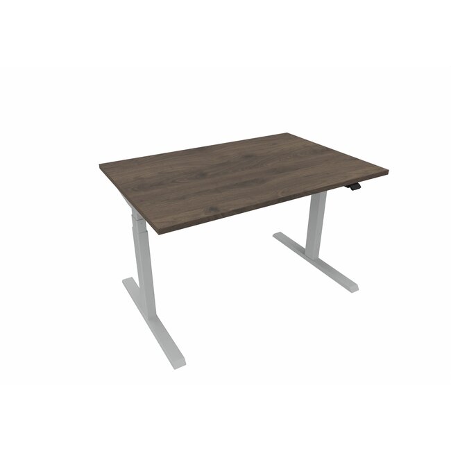 Elektrisch Höhenverstellbarer Schreibtisch , 120 cm breit - 80 cm tief