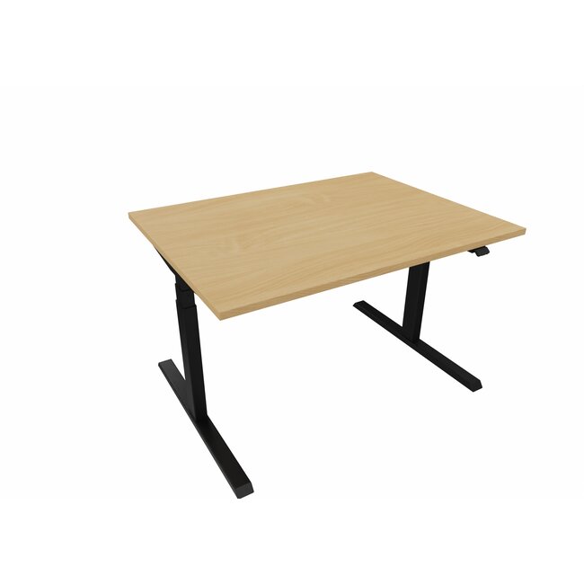 Elektrisch Höhenverstellbarer Schreibtisch , 120 cm breit - 90 cm tief