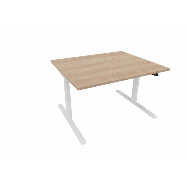 Elektrisch Höhenverstellbarer Schreibtisch , 120 cm breit - 100 cm tief