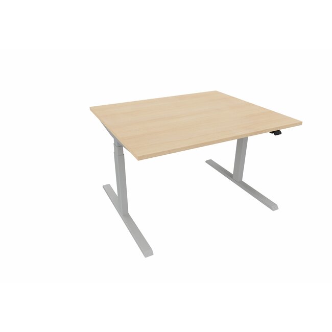 Elektrisch Höhenverstellbarer Schreibtisch , 120 cm breit - 100 cm tief