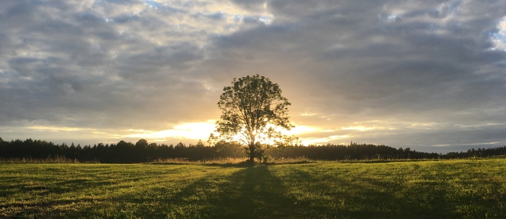 Cisco Meraki End of Life: Alles wat je moet weten