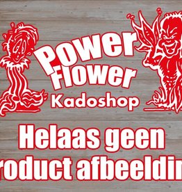 Power Flower Kadoshop 15% CBD Olie 10ML