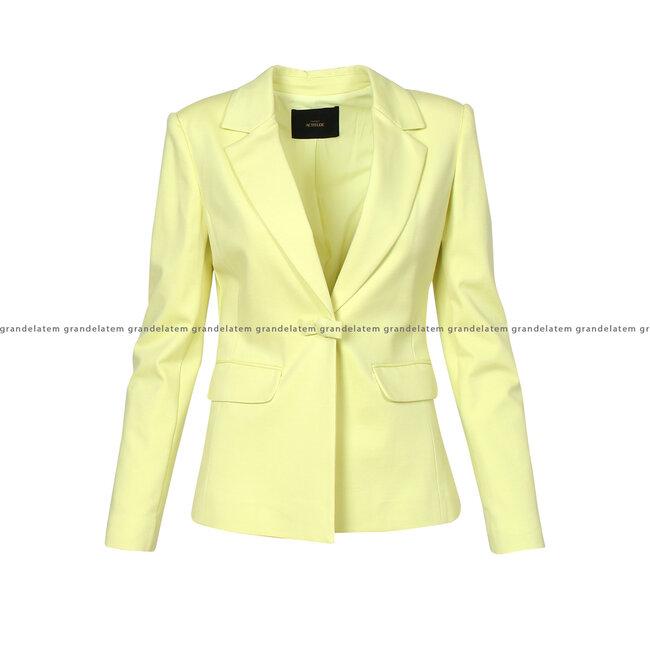 TWINSET ACTITUDE BLAZER - 241AP2304 - 00352  ⎜ WEBSHOP