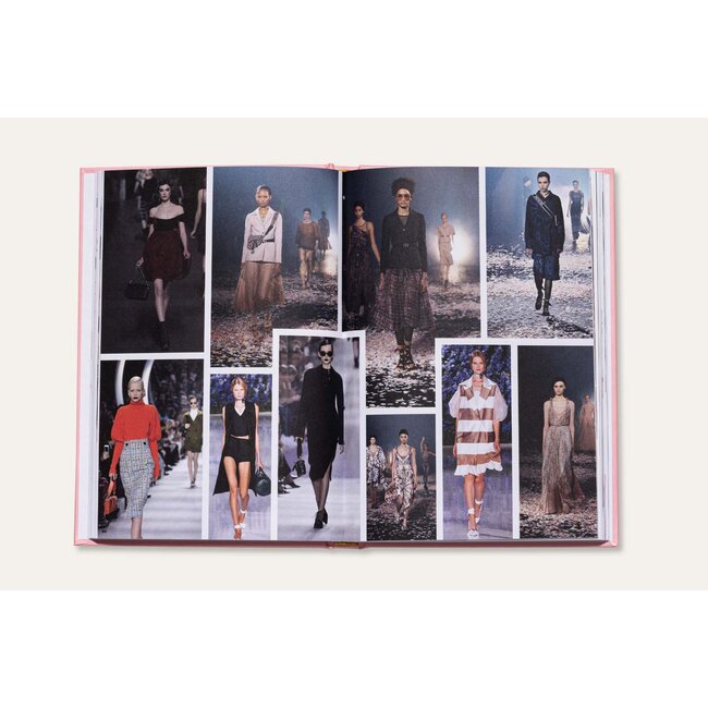 The Essence of  Dior