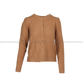 Fracomina KNITTED CARDIGAN CAMEL - FS24WT8010K42001-093