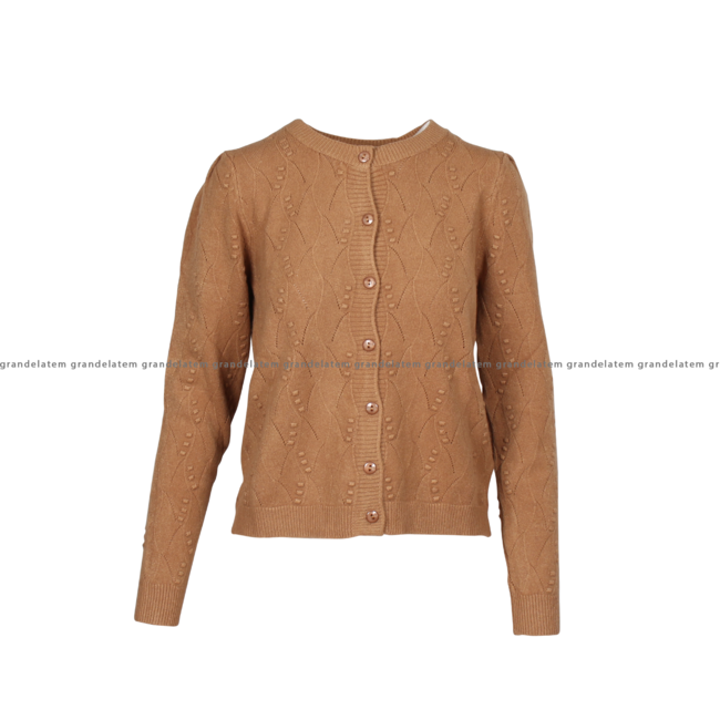 KNITTED CARDIGAN CAMEL - FS24WT8010K42001-093