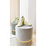 PP - 2Z0074 L055 Y472 SHOES Yellow Suede