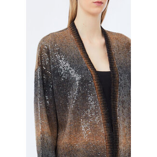 LIU JO LIU JO SHADE AND PAILLETTES  SWEATER BROWN SHADED MF5248-MA14R - S9472