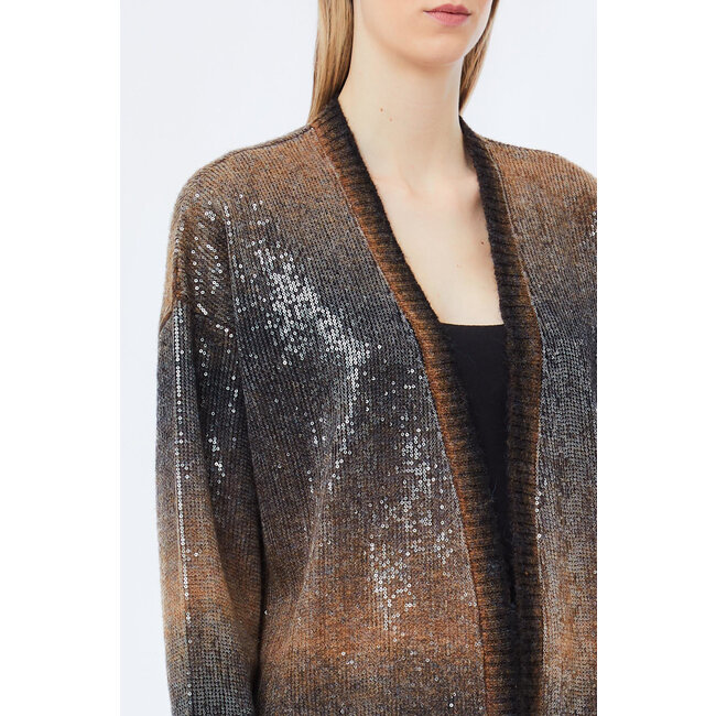 LIU JO SHADE AND PAILLETTES  SWEATER BROWN SHADED MF5248-MA14R - S9472