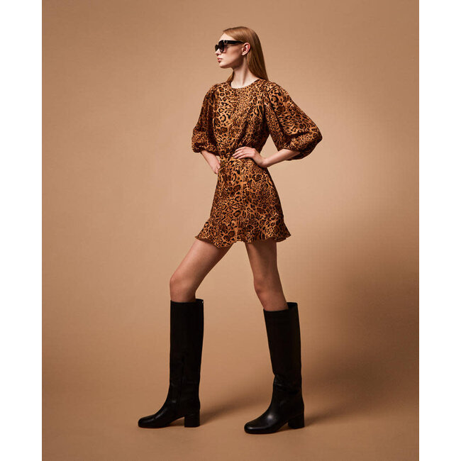 TWINSET kleedje - ST.ANIMALIER COFFEE/LAND - 252TP2472 - 12737 _ webshop