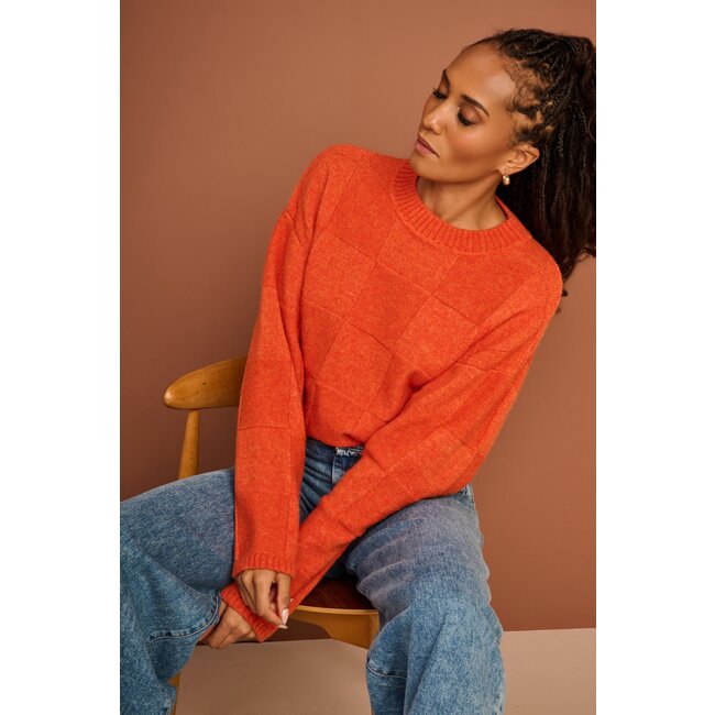 AC by Annelien Coorevits - Dambord trui DANNI ronde hals oranje _ webshop