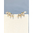 oorbellen WF5 005 goud