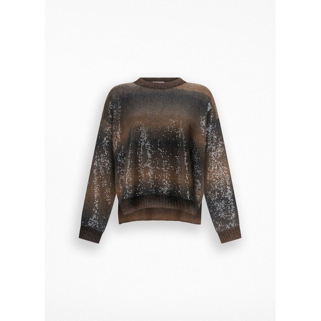 LIU JO SHADE AND PAILLETTES  SWEATER BROWN SHADED MF5380-MA14R - S9472