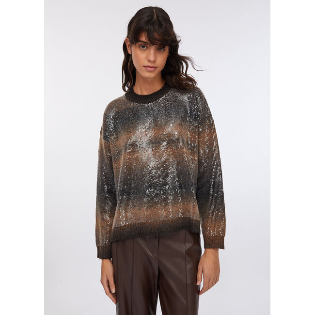 LIU JO SHADE AND PAILLETTES  SWEATER BROWN SHADED MF5380-MA14R - S9472