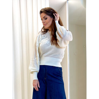 TWINSET TWINSET trui - parelmoer - 261TP3311 - 00059