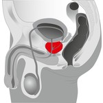 Rocks-Off Siliconen ‘Big Boy’ Vibrator voor Prostaat