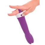 Pipedream Wall Banger Muur Vibrator G-spot