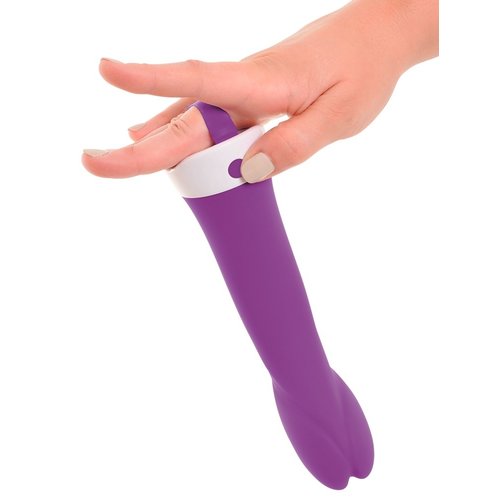 Pipedream Wall Banger Muur Vibrator G-spot