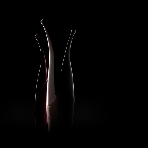 Senzi Senzi Luxe Clitoris Vibrator Zwart