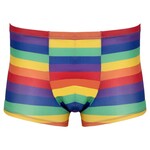Svenjoyment Kleurrijk Regenboog Shorts Mannen