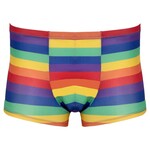 Svenjoyment Kleurrijk Regenboog Shorts Mannen