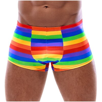 Kleurrijk Regenboog Shorts Mannen