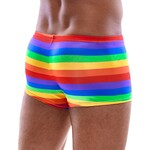 Svenjoyment Kleurrijk Regenboog Shorts Mannen