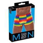 Svenjoyment Kleurrijk Regenboog Shorts Mannen