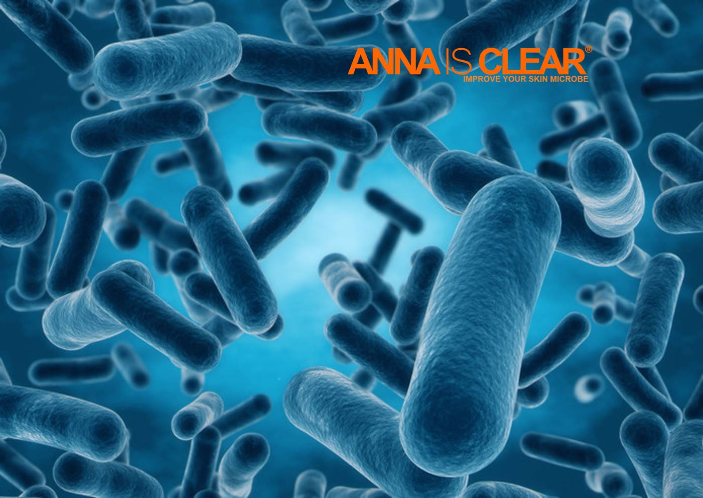 Naar schatting draag je een verbazingwekkende 10 tot 100 biljoen (!) Microben mee in en op je lichaam. Dat betekent dat er gemiddeld tien keer meer microbiële cellen zijn dan menselijke cellen in het lichaam. -1