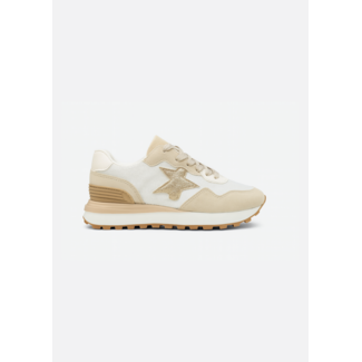 SNEAKER BEIGE STAR 8-116