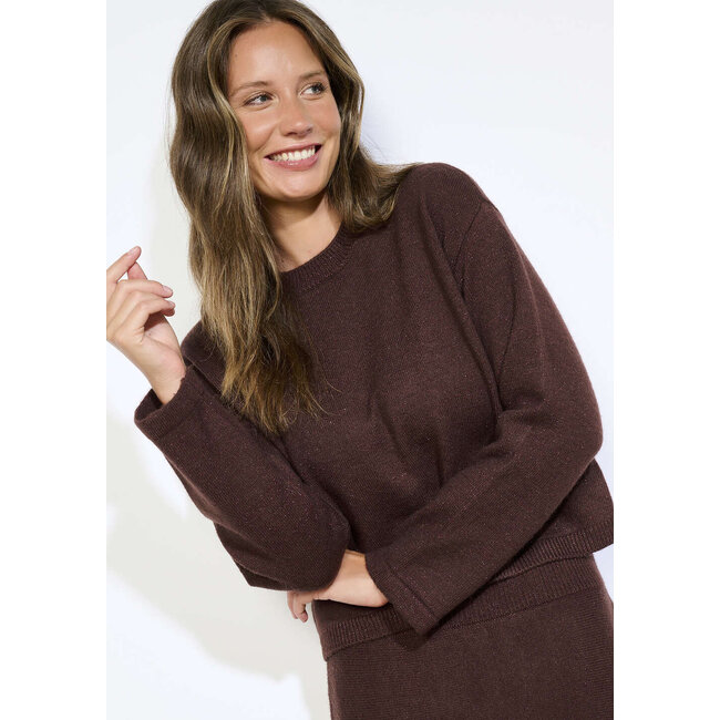 TOP ABBY LUREX BRUIN