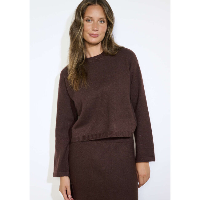 TOP ABBY LUREX BRUIN