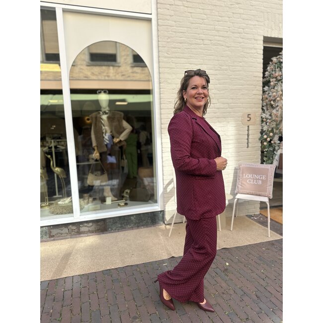 BROEK  SPARKLE BIBA BORDEAUX