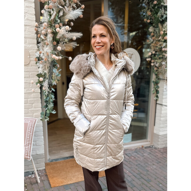 JAS CHAMPAGNE METALLIC Z-909