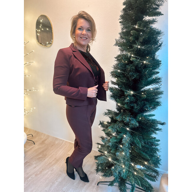 PANTALON REWI CFC0126717003 BORDEAUX