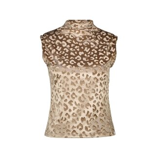 TOP VELVET NEW NAMUR BEIGE