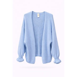 VEST VIO SKY BLUE ONE SIZE