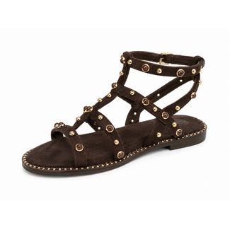 SANDAAL GOLD STUDS CHOCO LS395