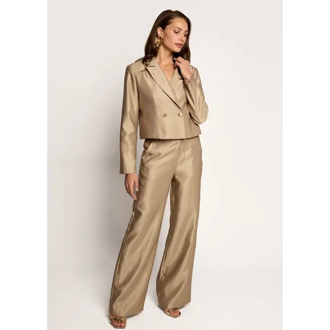 FREEBIRD PANTALON LOLANI WIDE BRILLIANT GOLD