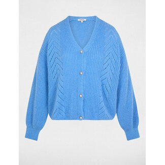 VEST MOUNTA BLUE