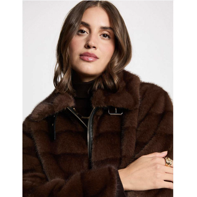 JAS GFOLKA BRUIN