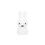 MR MARIA VEILLEUSE LAPIN MIFFY - MY FIRST LIGHT 30CM